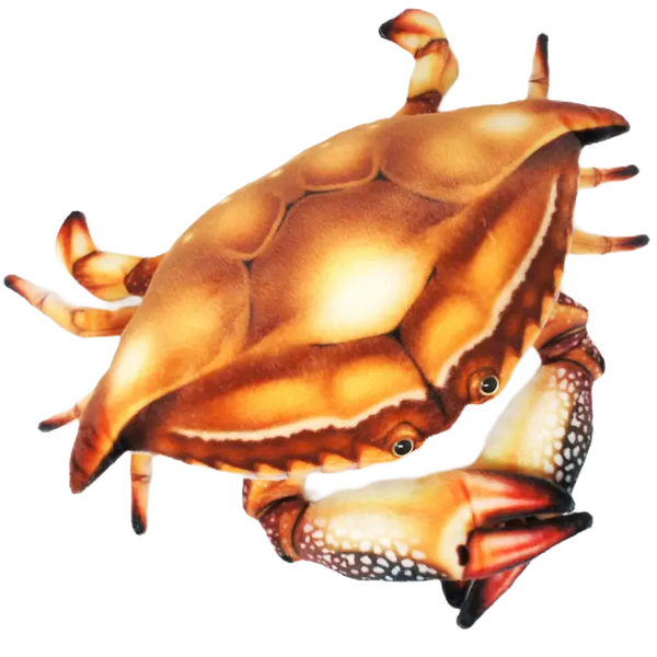 Crandell the Crab