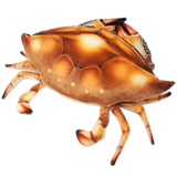 Crandell the Crab