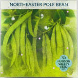 Northeaster Pole Bean - Art Seed Packs