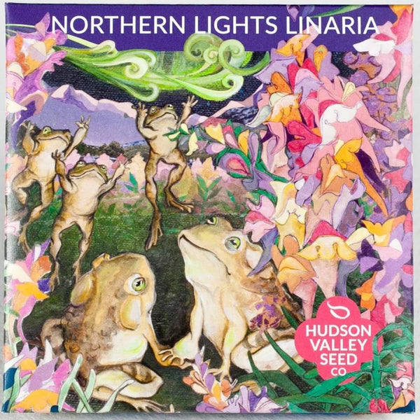 Northern Lights Linaria - Art Seed Packs