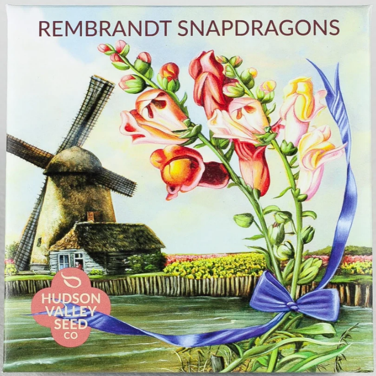 Rembrandt Snapdragon - Art Seed Packs