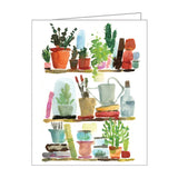 Notecards - Shelf Life
