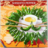 Shishito Pepper - Art Seed packs