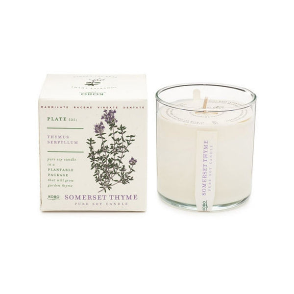 Somerset Thyme - Plant The Box Candle