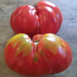 Stone Ridge Tomato - Art Seed Packs