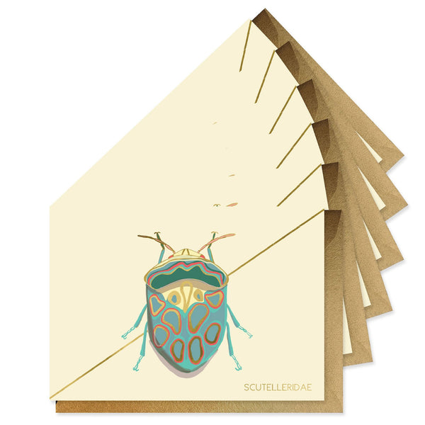 Teal Beetle - Boxed Notes Set of Six
