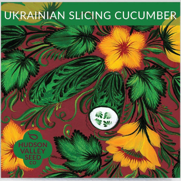 Ukrainian Slicing Cucumber - Art Seed Packs