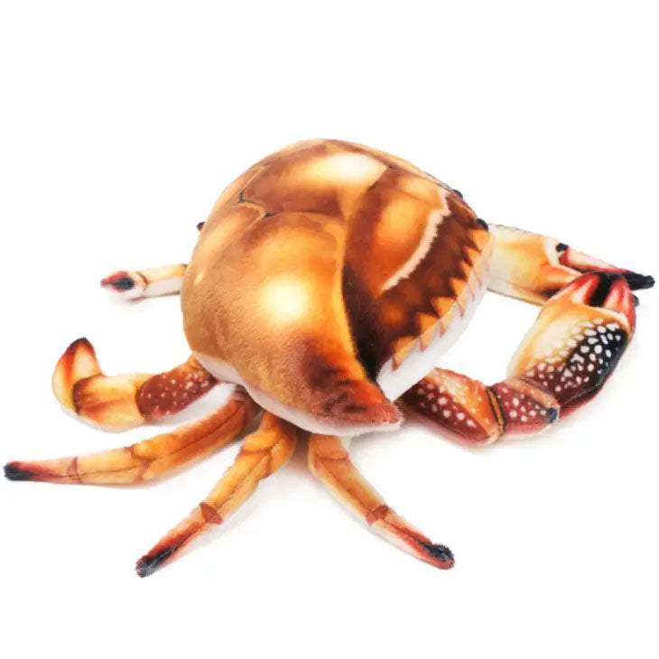 Crandell the Crab