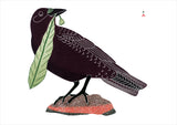 Notecards - Birds of Cape Dorset