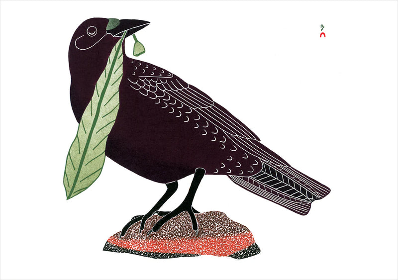 Notecards - Birds of Cape Dorset