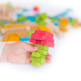 Eco-Bricks - Color 54 Piece