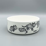 Cat Bowl - Edward Koren