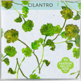 Cilantro Seeds - Art Seed Packs
