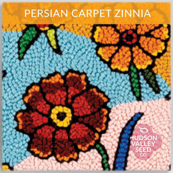 Persian Carpet Zinnia - Art Seed Packs
