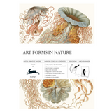 Art Forms In Nature Gift Paper