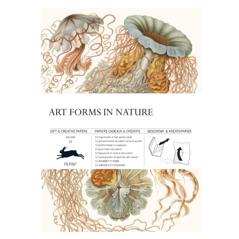Art Forms In Nature Gift Paper