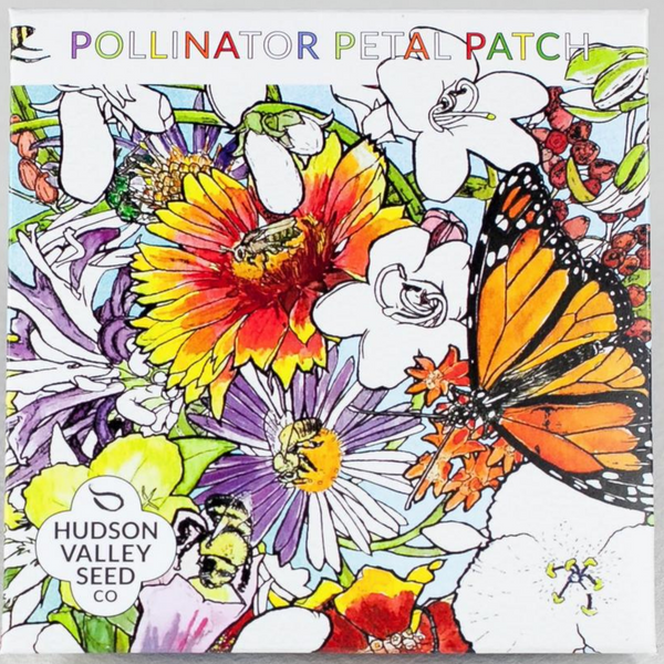 Pollinator Petal Patch - Art Seed Packs