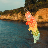 Windsock - Koinobori Rainbow